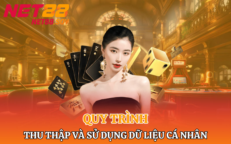 Những quQuy trình thu thập và sử dụng dữ liệu cá nhân của khách hàngy định về chính sách bảo mật Net88